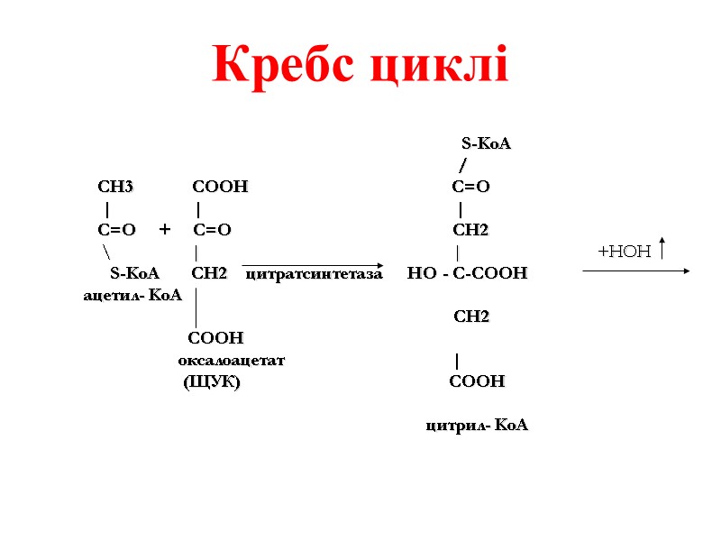 Кребс циклі            
